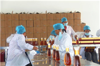 試驗機行業(yè)的革故鼎新,新型塑料沖擊試驗機問世